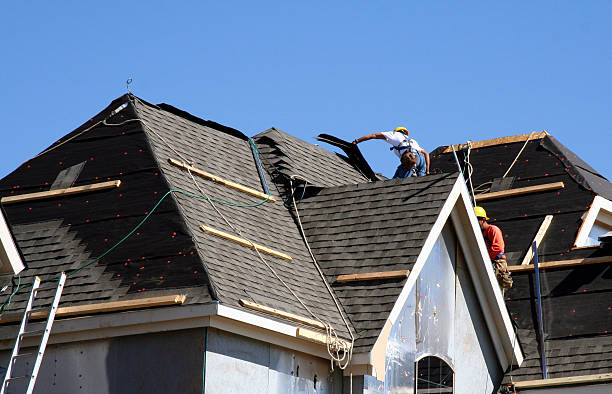 Best Storm Damage Roof Repair  in Wabasha, MN