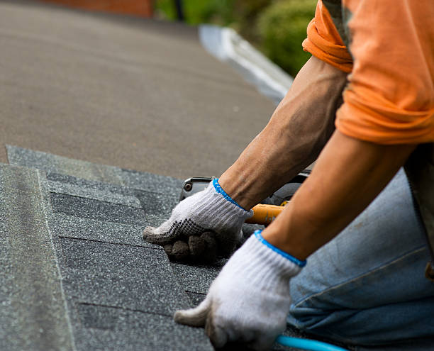 Best Storm Damage Roof Repair  in Wabasha, MN